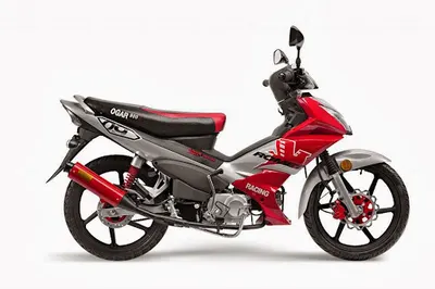 PHU GAZ-OL Andrzej Świerkowski Grzegorz Świerkowski